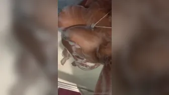 chanellysidney onlyfans 22/02/2022 Newest from chaturbate Porn 2022