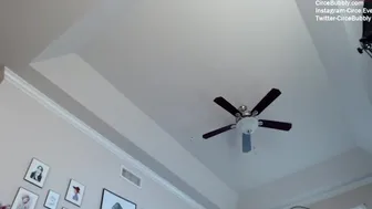 circeeve 11-April-2022 1606_webcam chaturbate Porn