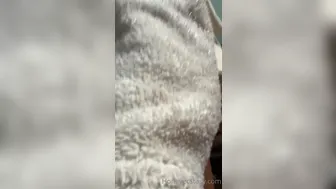 Honey Ecstasy onlyfans newest video 9