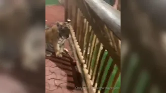 bwctravelvids onlyfans Busty chick fucks herself with a dildo