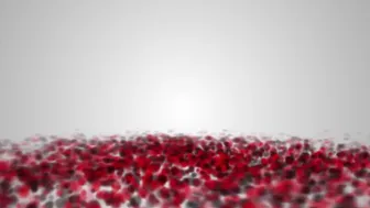 Ashley Lucero onlyfans 44645