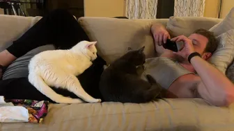 fitbryceadams onlyfans 29 march 2022 latest porn