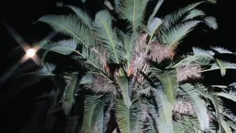 Bella Thorne aka bellathorne onlyfans  loves jerking off and catches the buzz form the process