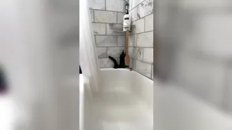 Bria Backwoods aka briabackwoods onlyfans 27 july 2022 webcam masturbation