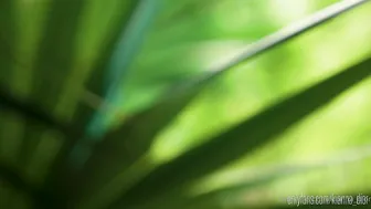 Kianna.Dior.Tulum.BJ.XXX.1080.mp4