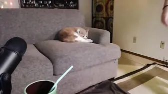 jaxtastic  cam live record 2017 4 of July