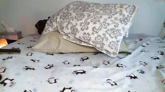 kbae042  cam live record 2017 15 of March