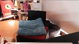 janeshreds  Arranged a memorable concert